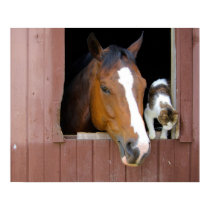 Barn Buddies Posters