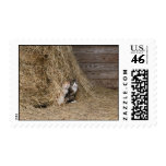 Barn Cats Stamps