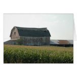 Barn & Cornfield-NE Iowa cards