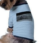 Barn Dog Clothing