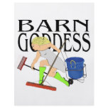 Barn Goddess flyers