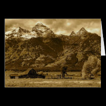 Barn,  Grand Teton National Park, Wy cards
