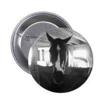 Barn Horse Pins