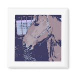 Barn Horse Pop Art Magnet
