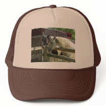Barn Horses Hat