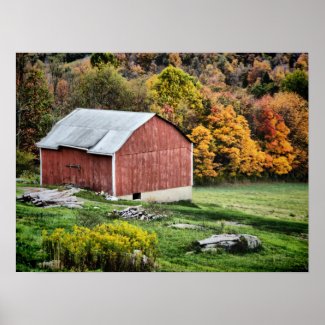 Barn in Autumn - PA Print