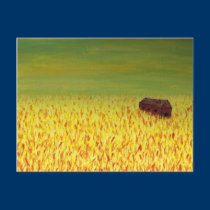 barn in the golden field postcards