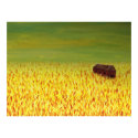 barn in the golden field posters by rippleart barn in the golden field posters