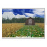 Barn in Wheat Field Cards