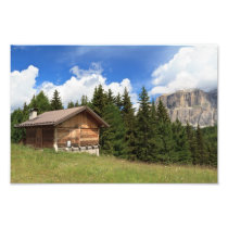 barn on Alpine pasture Photographic Print