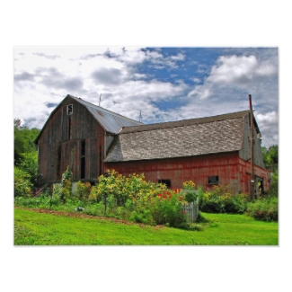 Barn on Sunny Summer Day