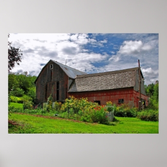 Barn on Sunny Summer Day