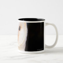 Barn Owl 2 Coffee Mugs