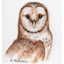 Barn Owl 3D Sculpture Acrylic Cut Out