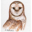 Barn Owl 3D Sculpture photo sculptures