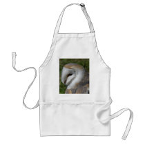 Barn owl aprons