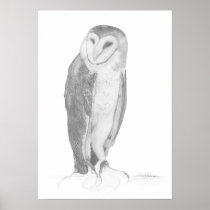 Barn Owl | Art Print