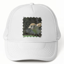 Barn Owl Baseball Hat