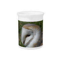 barn owl beverage pitcher