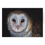 Barn Owl Bird Original Painting Art Cards