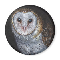 Barn Owl Bird Original Painting Art Magnets
