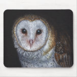 Barn Owl Bird Original Painting Art Use Pads