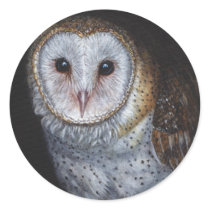 Barn Owl Bird Original Painting Art Stickers