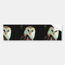 Barn owl bumper stickers