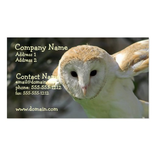 Barn Owl Business Card (front side)