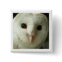 Barn Owl Button Badge