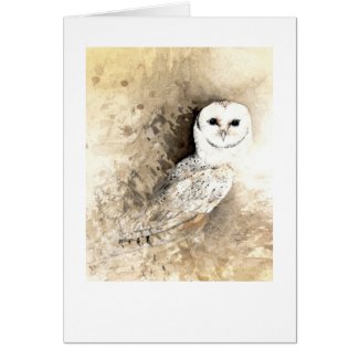 Barn Owl card