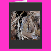 Barn Owl Card by magentaraven Barn Owl Card