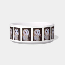barn owl cat food bowls