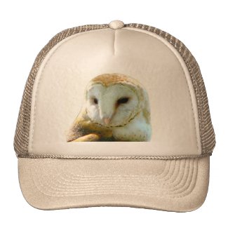 Barn Owl Close Up Mesh Hat
