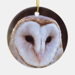 barn owl face christmas ornament