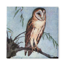 Barn Owl, Farmhouse and Barn Magnets