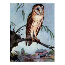 Barn Owl, Farmhouse and Barn Post Card