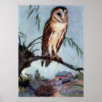 Barn Owl, Farmhouse and Barn Print