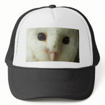 Barn Owl Hat