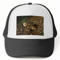 Barn Owl Trucker Hats