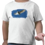 Barn Owl in Daytime Flight Tshirt