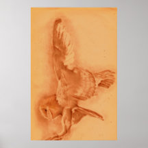 Barn Owl Landing Poster