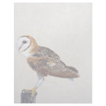 Barn owl customized letterhead