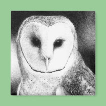 Barn Owl Magnet - "Grayson" magnets