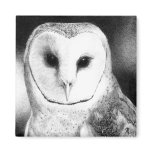 Barn Owl Magnet - "Grayson"