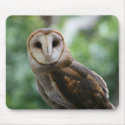 Barn Owl mousepads by iammightee Barn Owl mousepads