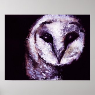 Barn Owl Night Owl Schleiereule Eule Nachteule Poster