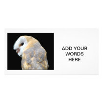 Barn Owl Custom Photo Card
