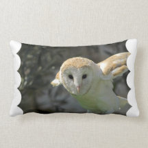 Barn Owl Pillow