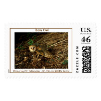 Barn Owl postage by moxieann Barn Owl postage